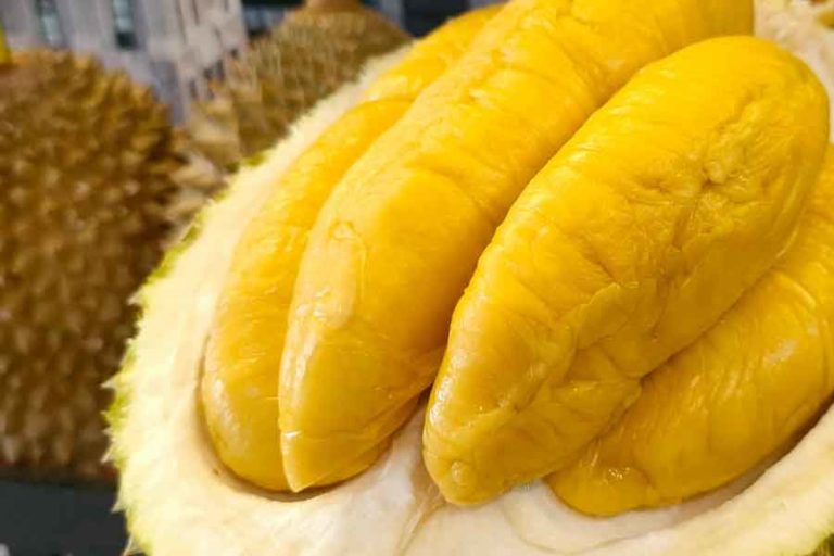 Durian Premium